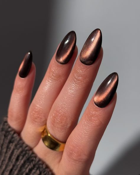 Happy Turkey Day 🦃 so grateful for all of you 🤎 What would you call these glass nails? Cinnamon? Jelly Brown? Let me know below! Products used: @gelcare.official Patent Leather Black, Jelly Brown Bevimee - Silver Cat Eye • use code: THECOLORNOOK to save @nominal #gelcare #lemanoir #gelnails #brownnails #cinnamonglassnails #glassgelnails #glassnails #trendynails #nailartist #gelx #cateyenails cat eye gelx glass nails jelly brown chocolate Brown Cat Eyes Nail, Tigers Eye Nails Design, Black Tiger Eye Nails, Chocolate Brown Cat Eye Nails, Bronze Cat Eye Nails, Chocolate Cat Eye Nails, Brown Glass Nails, Black And Gold Cat Eye Nails, Brown Nails Cat Eye