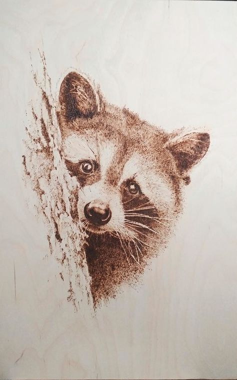 Burning Picture, Animal Stencils, Chainsaw Art, Pyrography Designs, Wood Burning Patterns Stencil, Wood Burning Stencils, Gourd Ideas, Wood Burning Techniques, Raccoon Art