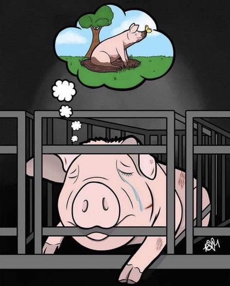 Animal Cruelty Art, Vegan Activism, Stop Animal Testing, Activism Art, Animal Activism, Vegan Bacon, Vegan Quotes, Why Vegan, Animal Liberation