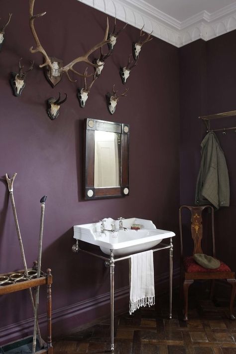 Drummonds cloakroom-bathroom- Eccentric Bathroom, Plum Bathroom, British Bathroom, Purple Room, Purple Bathrooms, Cloakroom Basin, Purple Walls, Large Bathrooms, Minimalist Bathroom