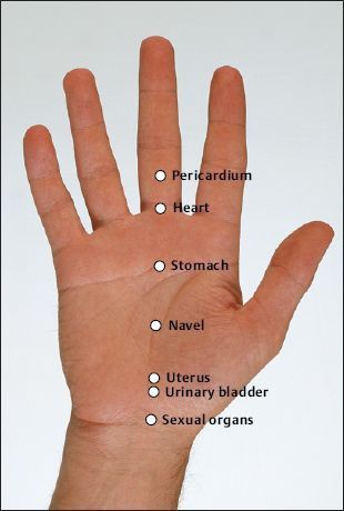 Accupressure Hand Points, Hand Reflexology Trigger Points, Accupunture Points Acupuncture, Hand Accupressure, Korean Hands, Acupuncture Points Chart, Healing Reflexology, Pressure Point Therapy, Acupressure Therapy