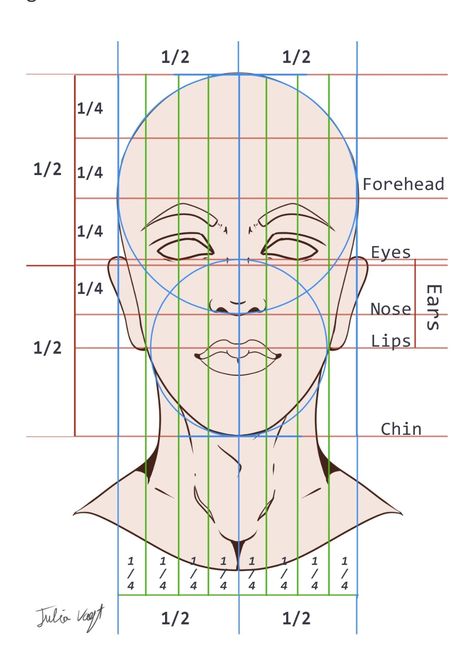 Face Geometry Drawing, Realistic Face Proportions, Eye Proportions Drawing, Facial Proportions Drawing Tutorials, How To Draw Face Anatomy, Face Proportions Reference, Face Porpotion Reference, Face Ratio Drawing, Portrait Guidelines