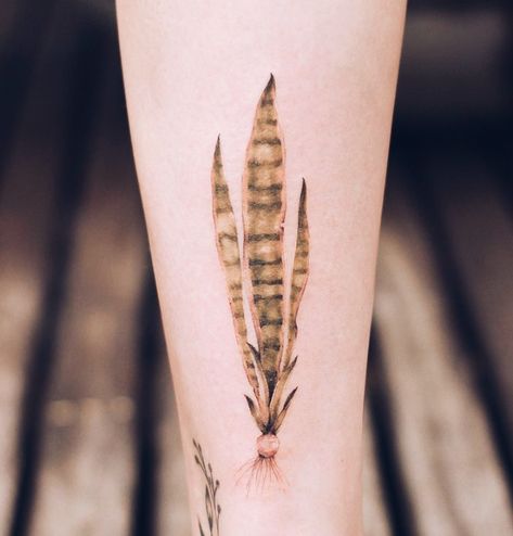 Realistic Plant Tattoo, Base Tattoo, Garden Tattoos, Garden Tattoo, Hip Tattoos Women, Plant Tattoo, Inked Tattoo, Plants Garden, Hip Tattoo