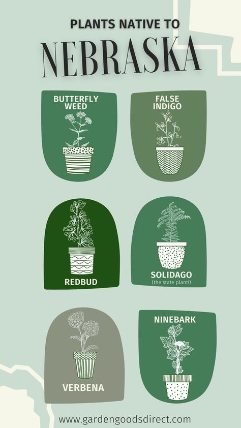 Hey #Nebraska gardeners! Did you know that another name for Nebraska is "Tree Planter's State" or that Arbor Day began here?! Take a look at this guide to some of the best #NativePlants from the beautiful state of Nebraska! . . . #GGDplantlove #GardenGoods #NebraskaPlants #nebraskagarden #nebraskagardening #plantplantplant #loveplants #green #gardening #gardenideas #needmoreplants #choosenative #choosenativeplants #nebraskalife Nebraska Native Plants, Privacy Trees, Planting Guide, Arbor Day, Tree Planters, Yard And Garden, Native Plant Gardening, Flower Guide, Arbour Day