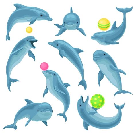 Dolphin Underwater, Google Wallpaper, Dolphin Drawing, Animal Infographic, Adventure Island, Typographic Logo Design, Kids Room Paint, How To Draw Animals, Typographic Logo