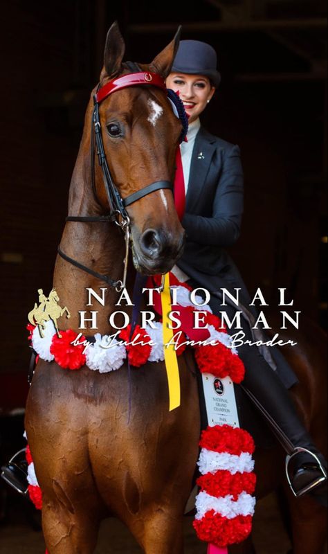 Saddleseat Equitation, Photoshoot Spring, Fever Dream, Saddle Seat, Future Goals, National Championship, Show Horses, Ponies, Equestrian