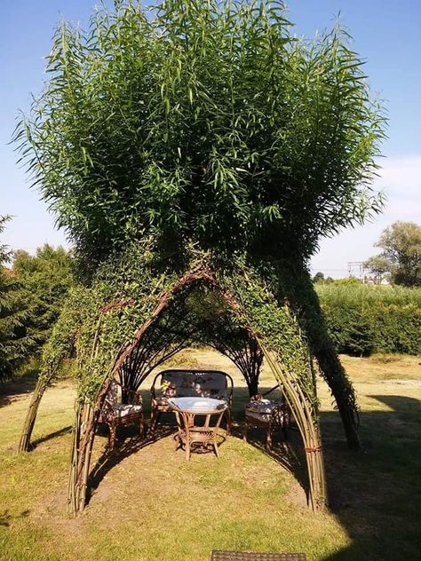 Living Garden, Unique Garden Decor, Have Inspiration, Unique Gardens, Garden Decorations, Garden Designs, Garden Structures, Landscape Ideas, Rustic Gardens