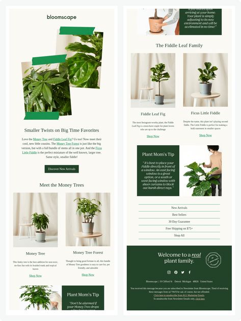 bloomscape-newsletter-example Examples Of Newsletters, Plant Email Design, Newsletter Design Inspiration Creative, Beautiful Email Design, Monthly Newsletter Design, Fun Email Design, Newsletter Design Ideas, Aesthetic Email, Email Newsletter Inspiration