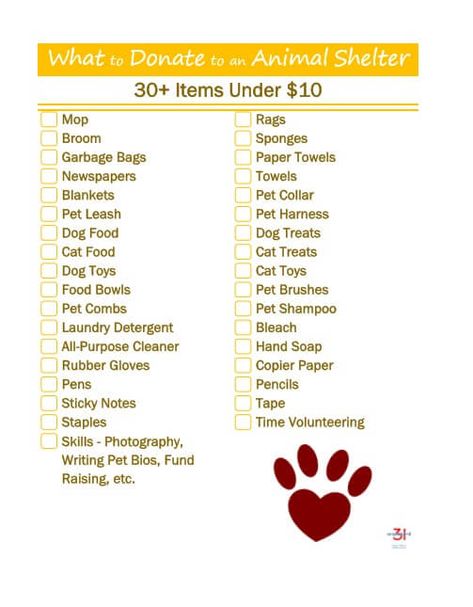 Help your local animal shelter and make the maximum impact by knowing what to donate to an animal rescue shelter to help the animal rescue group and the animals with these 35 donation ideas that are under $10 each. #FortunaforAll [ad] Animal Shelter Donations, Animal Shelter Fundraiser, Animal Rescue Fundraising, Animal Rescue Ideas, Donation Ideas, Cat Food Bowl, Pet Brush, Pet Shampoo, Pet Leash