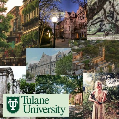 Top University Aesthetic, Nyu University Aesthetic Wallpaper Laptop, Cornell University Mood Board, Tulane Aesthetic, Tcu University, Tulane University Aesthetic, Washington University In St Louis Aesthetic, New Orleans Aesthetic, College Collage