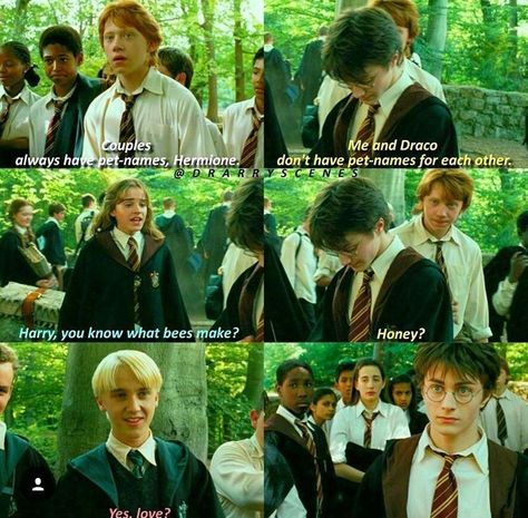 Blaise Harry Potter, Glume Harry Potter, Funny Harry Potter Jokes, Harry Draco, Harry Potter Memes Hilarious, Strawberry Tea, Gay Harry Potter, Harry Potter Feels, Harry Potter Puns