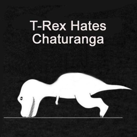 T-Rex really does.  Just because you give it a fancy name doesn't mean it's not a push up Yoga Jokes, Yoga Meme, Yoga Humor, Chaturanga Dandasana, Power Yoga Workout, Yoga Kids, Yoga Beginners, Online Yoga Classes, Friday Motivation