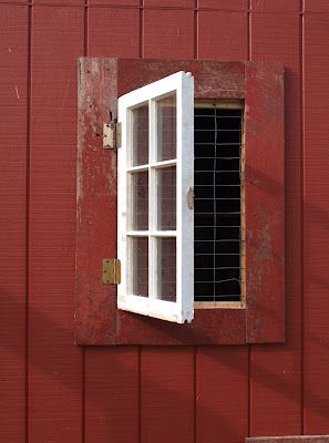 Coop Decor, Cheap Chicken Coops, Urban Chicken Farming, Backyard Playset, Portable Chicken Coop, Urban Chickens, Coop Design, Best Chicken Coop, Chicken Coop Designs