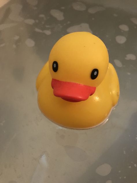 Borracha Aesthetic, Rubber Duck Aesthetic, Duck Aesthetic, Duck Pictures, Whatsapp Profile, Rubber Duckies, Play Pretend, Whatsapp Profile Picture, Rubber Ducky