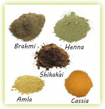 An Introduction Into The World Of Ayurvedic Hair Care  Read the article here - http://www.blackhairinformation.com/hair-care-2/hair-treatments-and-recipes/other-treatments/an-introduction-into-the-world-of-ayurvedic-hair-care/ Ayurvedic Hair Care, Herbs For Hair, Ayurvedic Hair, Hair Care Growth, Henna Hair, Healthy Natural Hair, Ayurvedic Herbs, Diy Hair Care, Black Hair Care