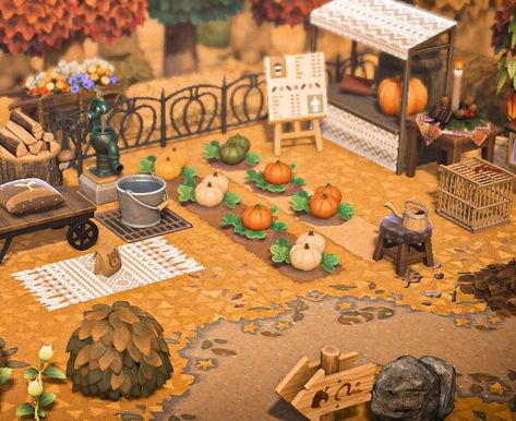 Flynn on Instagram: “The littlest pumpkin patch. #animalcrossing” Pumpkin Patch Anch, Pumpkin Patch Animal Crossing, Acnh Pumpkin Patch Ideas, Animal Crossing Pumpkin Patch, Animal Crossing Pumpkin, Acnh Pumpkin, Acnh Farmcore, Acnh Farm, Cottagecore Acnh