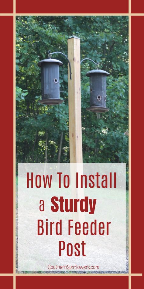 Post Bird Feeder, Post For Bird Feeders, Bird House Stands Diy, Bird Feeder Poles Ideas Diy, Bird Feeder Post Ideas, Bird Feeder Poles Ideas, Bird Feeder Post, Bird Feeder Hangers, Bird Feeder Station