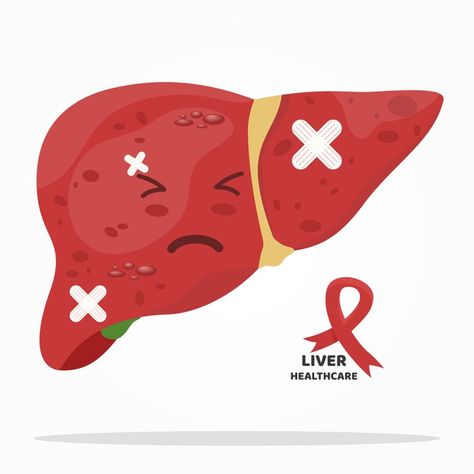 Liver cartoon character painful expressi... | Premium Vector #Freepik #vector #ribbon #character #cartoon #health Liver Cartoon, Exocrine Gland, Enlarged Liver, Cartoon Live, Health Tattoo, Human Liver, Liver Failure, Health Signs, Live Picture