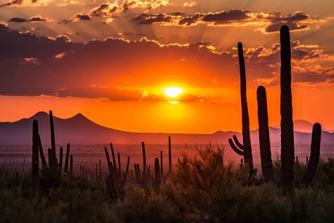 The Ultimate Arizona Road Trip: 7 Perfect Days in Arizona - Eternal Arrival Landscape Studies, Arizona Sunset, Road Trip Planner, Arizona Road Trip, Living In Arizona, East Coast Road Trip, Utah Road Trip, Road Trip Routes, Selling Your Home