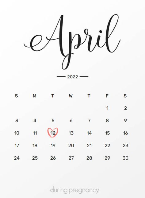 Calendar Ideas Whiteboard, April 2022 Calendar, Calendar With Week Numbers, Calendar With Holidays, Christian Calendar, Calendar Examples, Poetry Day, Daily Calendar, 2022 Calendar