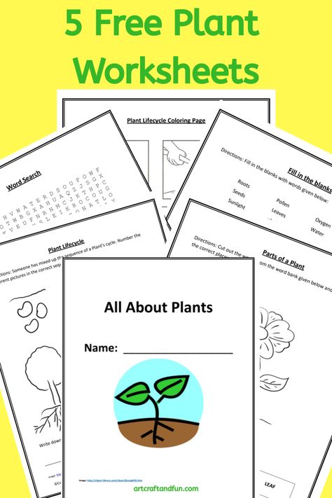 Rainforest Worksheets, Plant Life Cycle Worksheet, Printable Solar System, Solar System Worksheets, Plants Worksheets, Animal Life Cycles, Plant Activities, Kingdom Plantae, Plant Study