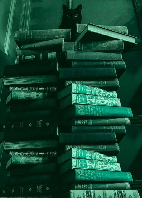 Green Library, Slytherin Wallpaper, Lily Wallpaper, Dark Green Wallpaper, Library Inspiration, Dark Green Aesthetic, Witchy Wallpaper, Slytherin Aesthetic, Beautiful Dark Art