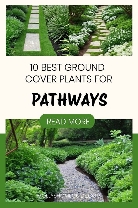 Discover a gorgeous array of ground cover plants for pathways with Stepables. These walkable groundcovers are perfect for creating beautiful paths in shaded areas. From ground cover flowers to easy-care choices, find the best plants to enhance your outdoor space. Explore our top picks for ground cover shade plants and get inspired with some creative ground cover ideas. Opt for these versatile and low-maintenance options that will transform your pathways into stunning features. Plants For Pathways, Ground Cover Ideas, Ground Cover Flowers, Ground Cover Shade, Best Ground Cover Plants, Stepping Stone Walkways, Sweet Woodruff, Creeping Jenny, Stone Walkway