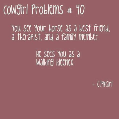 or scratching post Cowgirl Problems, Rodeo Quotes, Equine Quotes, Horse Girl Problems, Equestrian Quotes, Country Girl Problems, Cowgirl Quotes, Equestrian Problems, Funny Horses