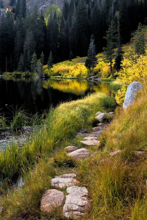 🇺🇸 Autumn at Silver Lake (Big Cottonwood Canyon, Utah) by Tucapel 🍂 Big Cottonwood Canyon Utah, Cottonwood Canyon Utah, Mountain Lakes, Mountain Nature, Salt Lake City Utah, Silver Lake, Scenic Views, Travel Usa, Beautiful World