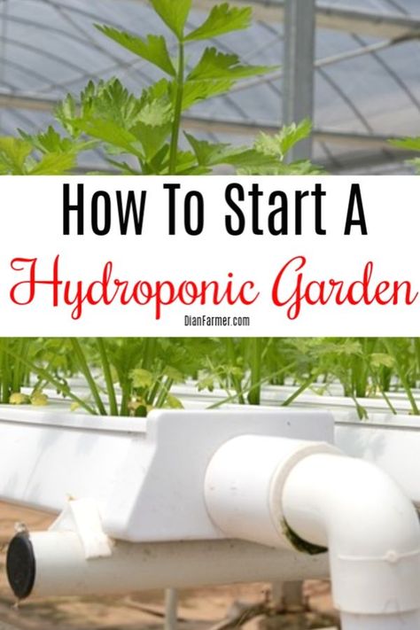 How To Start A Hydroponic Garden https://dianfarmer.com/how-to-start-a-hydroponic-garden/ #family #GSFF #moneysaver #needs #financialindependence #finance #moneymatters #debtfreecommunity #financialpeace #moneysaving #financialgoals #savingsgoals Hydroponic Gardening Diy, Indoor Hydroponic Gardening, Hydro Gardening, Hydroponic Gardening System, Hydroponic Garden, Hydroponic Farming, Hydroponics Diy, Hydroponic Growing, Hydroponic Plants