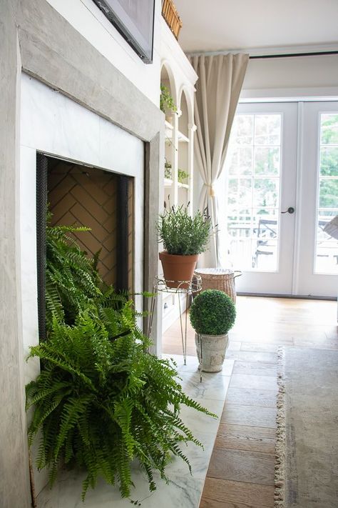 Fern In Fireplace, Plants In Fireplace Ideas, Summer Fireplace Decor, Fireplace Plants, Fireplace Faux, Easy Fireplace, Fireplace Candelabra, Dream Fireplace, Farmhouse Fireplace Decor