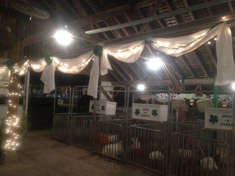 Fair Horse Stall Decorations Ideas, 4 H Pen Decorations, Fair Pen Decorating Ideas, 4h Barn Decorations For Fair, Horse Stall Decorations, Fair Decorations, 4h Fair, Teach Ag, Stall Decorations