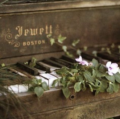 Vintage Piano, Facebook Banner, Over The Garden Wall, Timeline Covers, Photos Vintage, Facebook Profile, Hozier, Facebook Covers, Music Albums