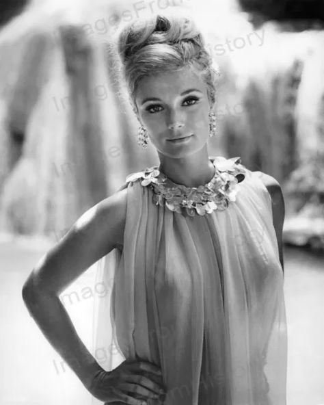 8x10 Print Yvette Mimieux Beautiful Fashion Portrait #YM72 Yvette Mimieux, Jacqueline Bisset, Celebrity Prints, Vintage Hollywood Glamour, Rare Images, Digital Art Gallery, Marie Gomez, Hollywood Legends, Search Bar