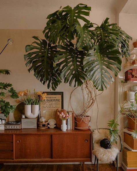 Theo | Interior | Travel on Instagram: “Say what day is today again? Mu-mo-momday? #monsteramonday” Theodora Melnik, Living Room Design Boho, Jungle Bedroom, Decoration Plante, Plant Aesthetic, Boho Living, Mug Design, Boho Living Room, Room Inspiration Bedroom