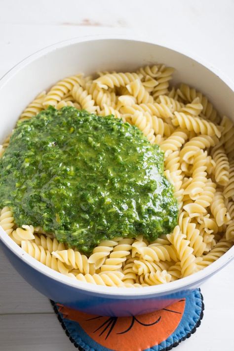 vegetarian green parsley sauce Pasta And Pesto, Parsley Pasta, Nut Free Pesto, Parsley Sauce, Fresh Herb Recipes, Parsley Recipes, Herb Recipes, Parmesan Pasta, Garden Recipes