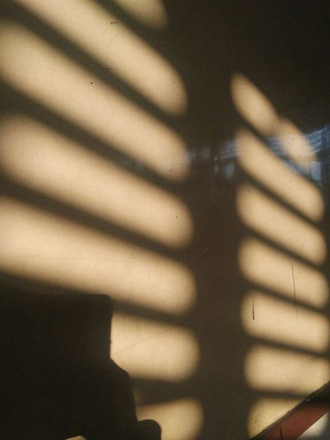 Sun Shadow Window, Fake Golden Hour, Aesthetic Window, Light And Shadow Photography, Tumblr Photos, Window Shadow, Sun Blinds, Fake Window, Sun Shadow