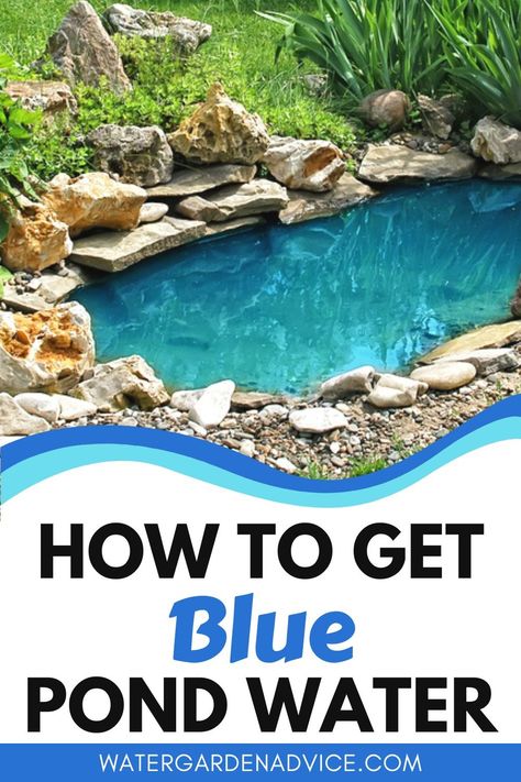 Blue pond water Diy Pond Liner, Small Pond Landscaping, Diy Ponds Backyard Simple, Small Backyard Pond, Outside Fountains, Plastic Pond, Small Backyard Ponds, Diy Ponds Backyard, Pond Bridge