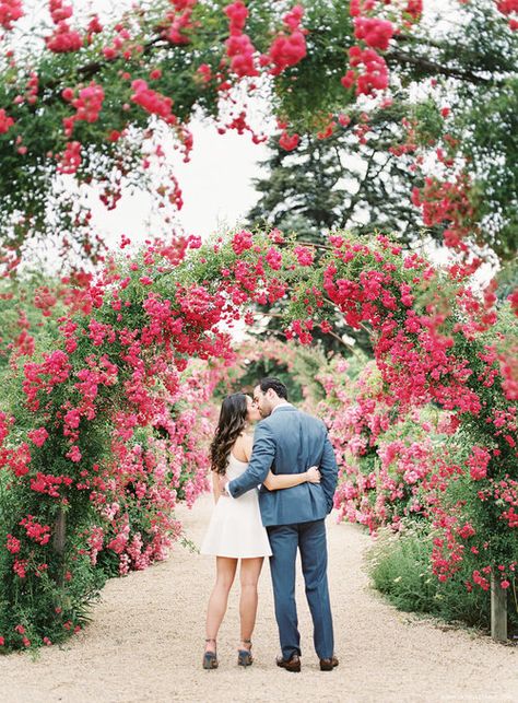 Rose Garden Photoshoot, Fall Wedding Pictures, Engagement Roses, Field Engagement Photos, Fine Art Film Photography, Fine Art Wedding Photographer, Film Photographers, Rose Garden, Engagement Photoshoot