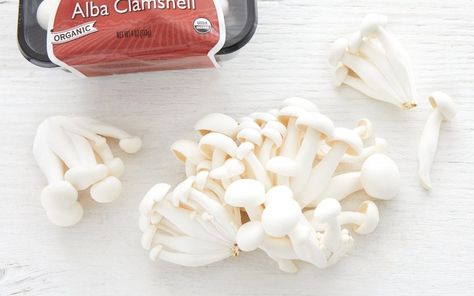 Shop local groceries for delivery in the San Francisco Bay Area. Similar to how the white button mushroom is an albino version of the crimini, our Alba Clamshell is an albino strain of the Brown Clamshell. The versatile Alba Beech Mushrooms, White Button Mushrooms, Button Mushroom, Seafood Soup, Citrus Juice, Stir Fries, Red Bell Pepper, Mushroom Recipes, Sauvignon Blanc