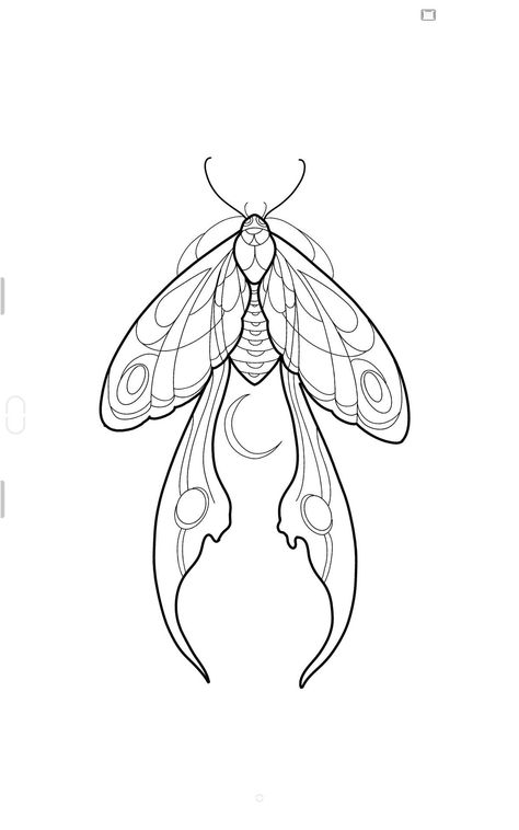 Moth Tattoo Line Art, Moths Tattoo Design, Moth Henna Tattoo, Line Art Stencil, Luna Moth Line Art, Lunar Moth Tattoo Design Simple, Luna Moth Drawing Simple, Cottagecore Line Art, Moth Line Tattoo