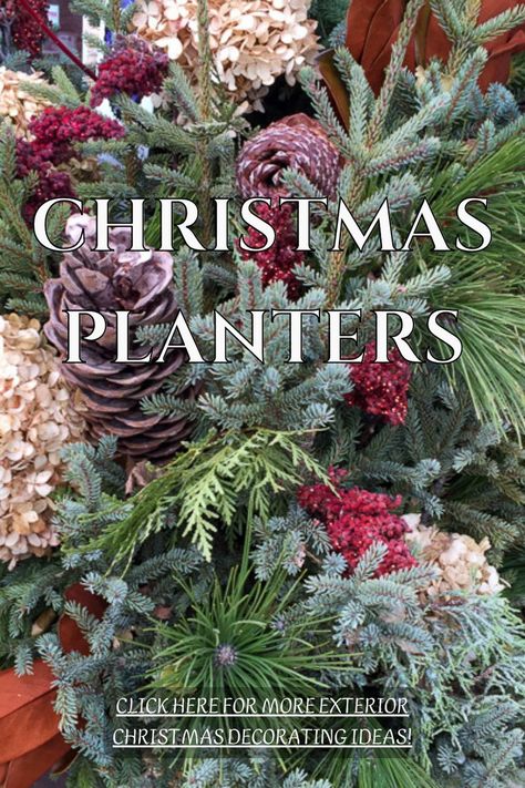 Christmas Porch Arrangements, Winter Container Plants Front Porches, Outdoor Winter Container Ideas, Plants And Christmas Decor, Simple Christmas Urns, Fall Porch Planters Diy, Outside Winter Decorations, Flower Pot Christmas Decorations, Winter Flower Arrangements Outdoor