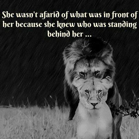 She wasn't afraid of what was in front of her because she knew who was standing behind her. . . Lioness Quotes, Snow Tattoo, Lion Lioness, White Lions, Lion Couple, Tattoo Lion, Lion Quotes, Lion And Lioness, Lion Love