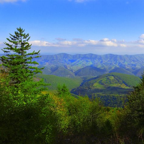 With over 500 hiking trails, countless places to fish, and much more, the Monongahela National Forest is a prime spot for any outdoor lover. Elkins West Virginia, Blackwater Falls State Park, Monongahela National Forest, Blackwater Falls, Romantic Retreat, Packing Lists, Mountain Town, Outdoor Playground, Outdoor Lover