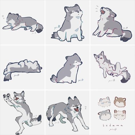 Wolfs by @rinrinwolf Wolf Art Drawing, Cloud Meadow, Husky Drawing, Wolf Poses, Cute Wolf Drawings, Awesome Drawings, Wolf Sketch, Drawing Bases, Canine Drawing