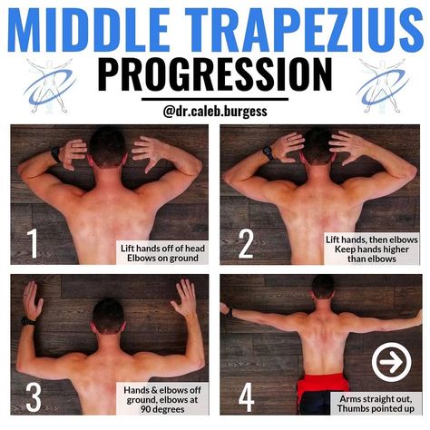 Dr. Caleb Burgess DPT OCS CSCS on Instagram: “💥Mid Trap Progression💥 - 💯 Tag a friend who could use this progression! - 💥The middle and lower trapezius muscles can be helpful to…” Mid Trap Exercises, Stretches For Trapezius Muscle, Lower Trapezius Exercises, Cervical Spine Exercises, Lower Trap Exercises, Trapezius Workout, Spine Exercises, Therapeutic Exercises, Traps Muscle