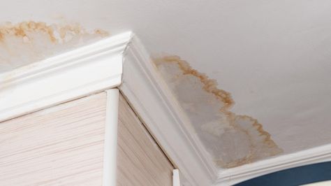 Apartment Ceiling, Water Stain On Ceiling, Ceiling Leak, Remove Water Stains, Leaky Roof, Ceiling Texture, Plumbing Problems, Commercial Roofing, Water Solutions