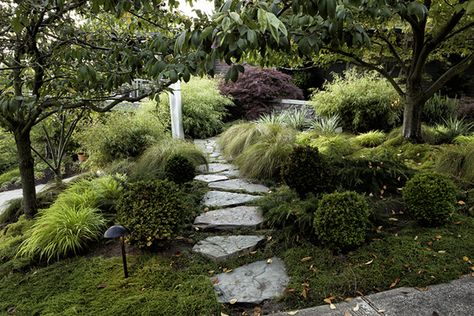 Pacific Northwest Modern Interior Design, Pacific Northwest Landscape Design, Pacific Northwest Landscaping, Pacific Northwest Style Home, Landscaping Slopes, Pnw Landscaping, Idaho Garden, Landscape Remodel, Pnw Garden