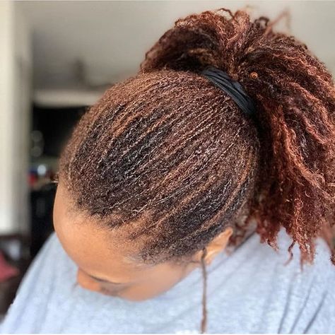 Colored Sisterlocks Highlights, Sisterlocs With Highlights, Coloured Microlocs, Sisterlocks Color Ideas, Colored Sisterlocks, Microlocs Styles, Microlocs Journey, Sisterlocks Updo, Microloc Journey