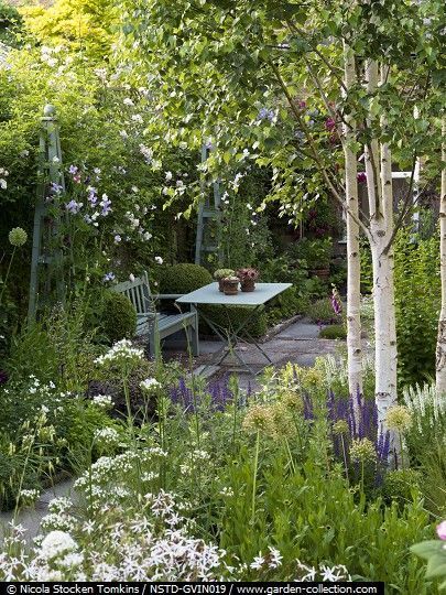 The Best Kept Secret to Dramatically Improving Your Curb Appeal Reka Bentuk Landskap, Small Cottage Garden Ideas, Garden Seating Area, Jardim Diy, Cottage Garden Design, Have Inspiration, Woodland Garden, Garden Seating, Small Garden Design